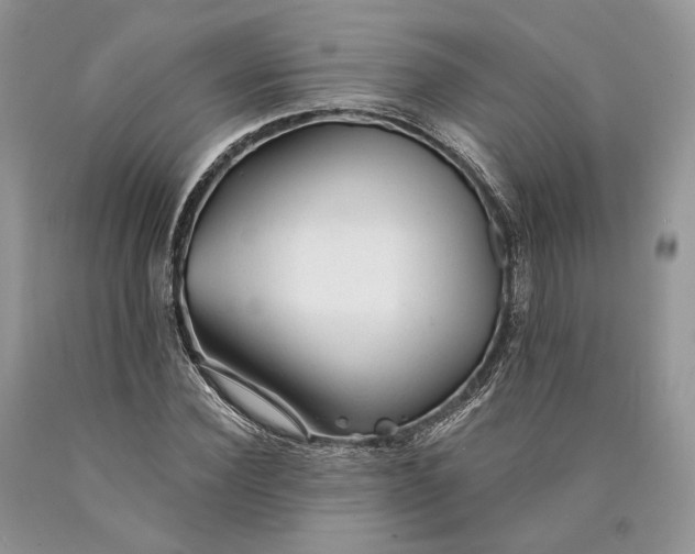X0000089910924200707201753