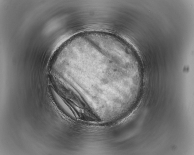 X0000089910925200707201753