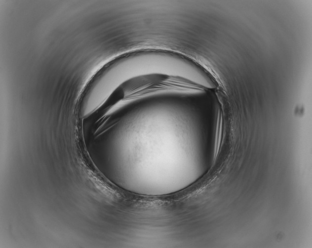 X0000089910926200707201753