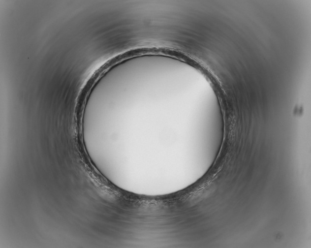 X0000089910927200707201753