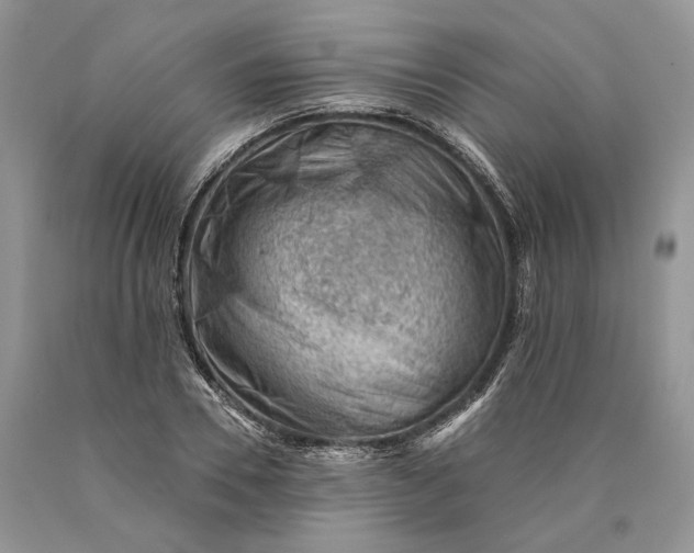 X0000089910930200707201753