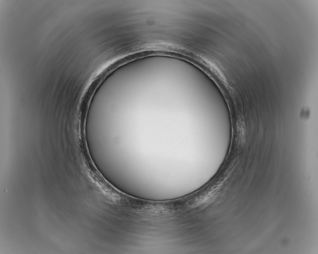 X0000089910931200707201753