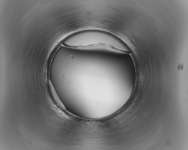 X0000089910934200707201753