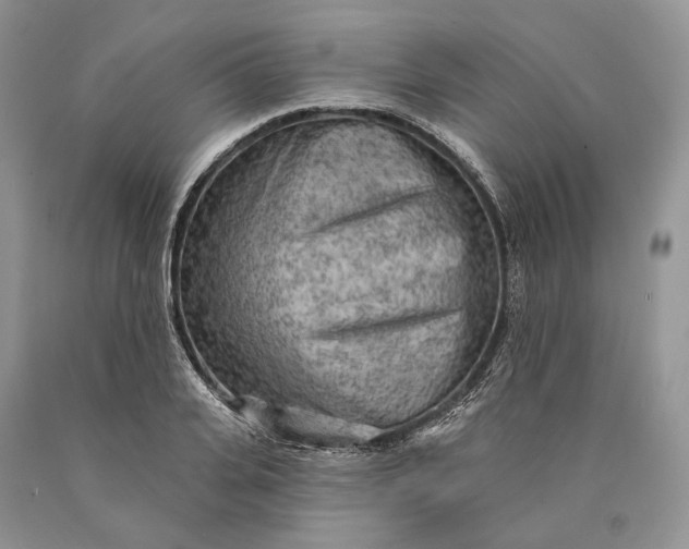 X0000089910935200707201753