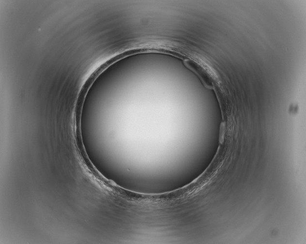 X0000089910936200707201753