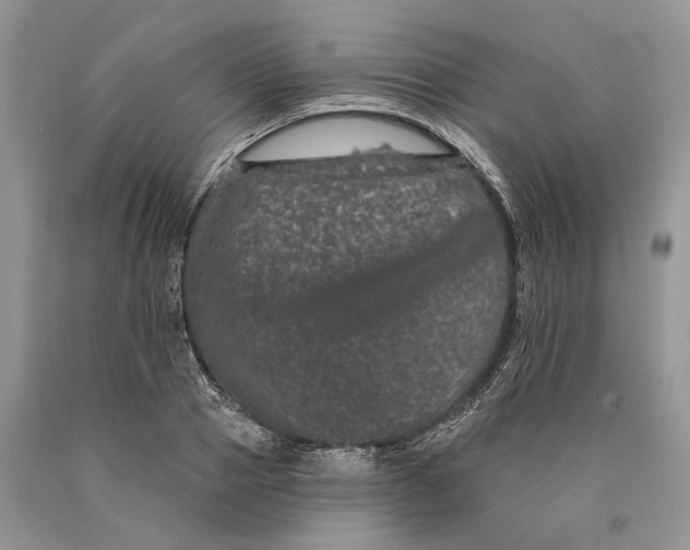 X0000089910937200707201753