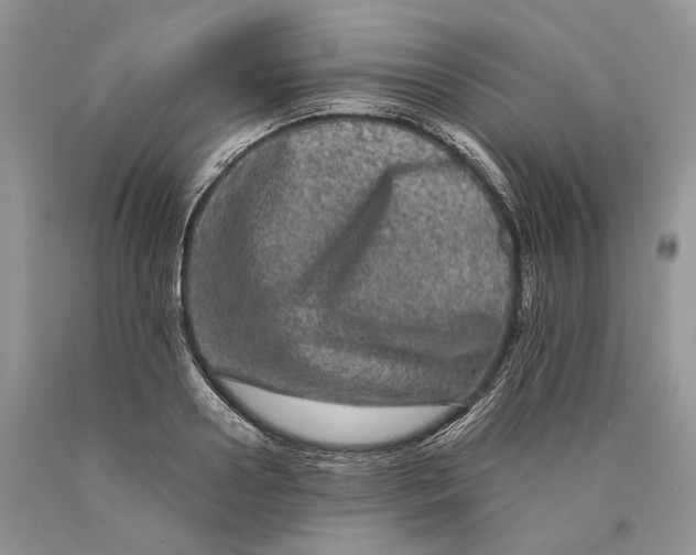 X0000089910938200707201753