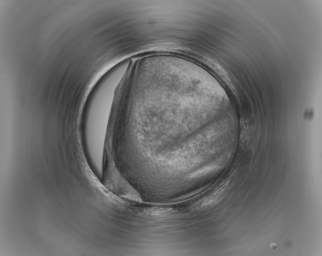 X0000089910939200707201753