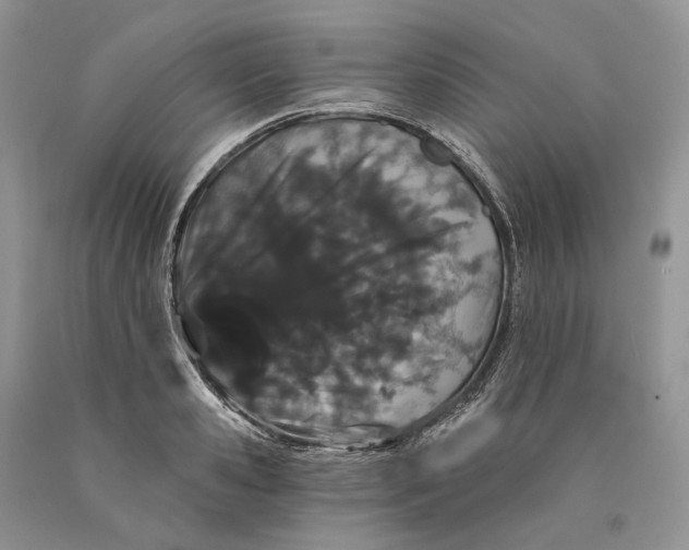 X0000089910941200707201753