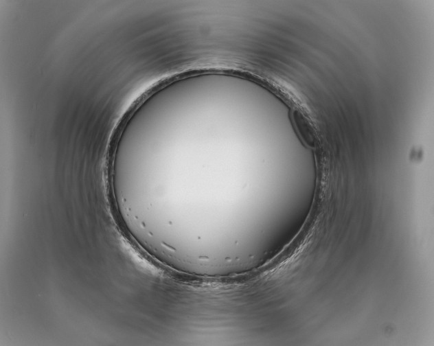 X0000089910942200707201753