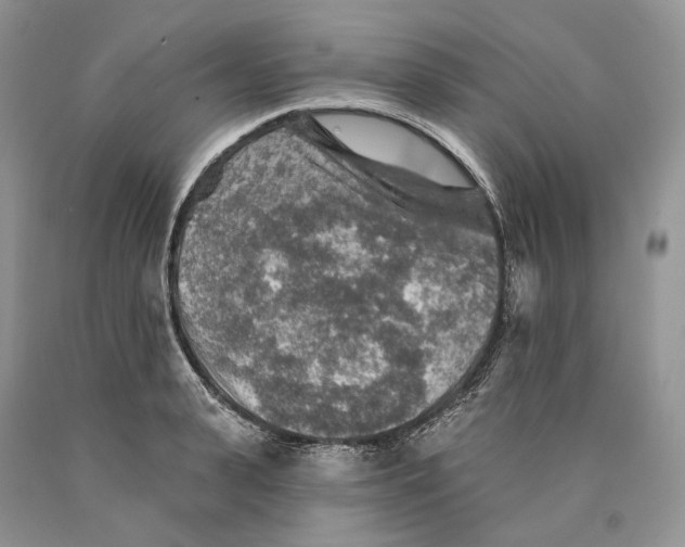 X0000089910943200707201753
