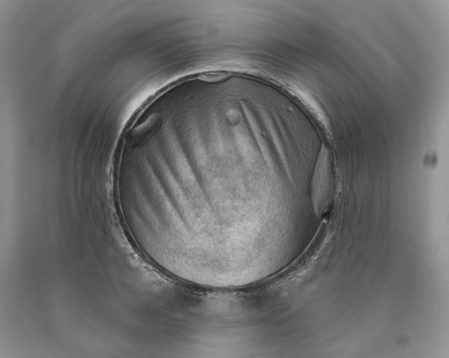 X0000089910944200707201753