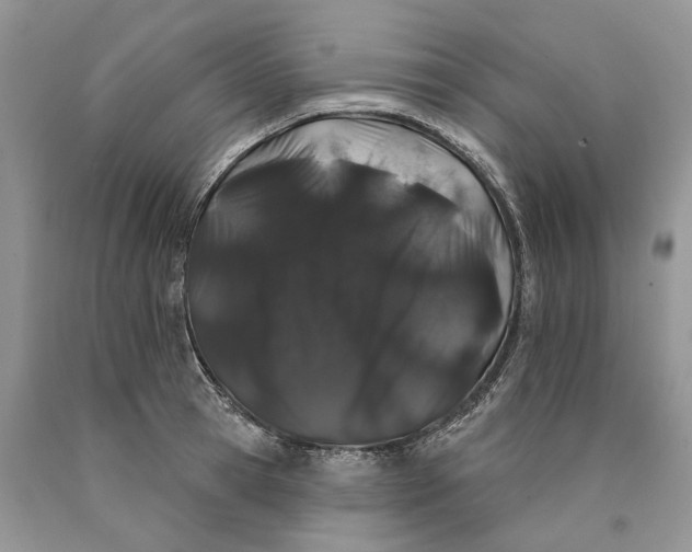 X0000089910945200707201753
