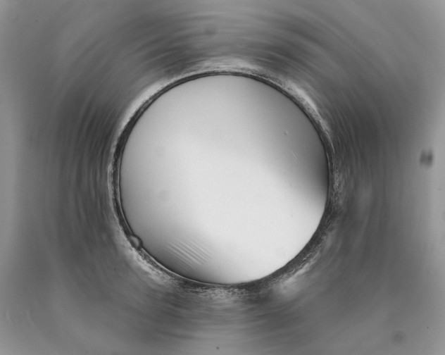 X0000089910947200707201753