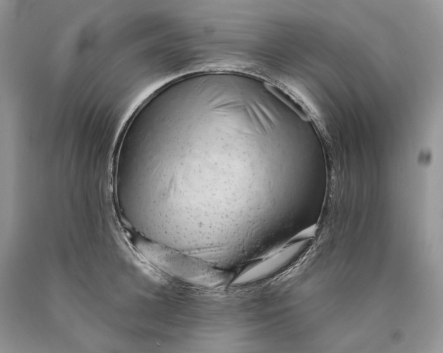 X0000089910948200707201753