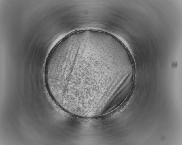 X0000089910949200707201753