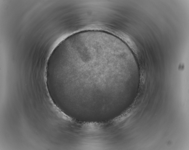 X0000089910950200707201753