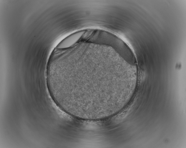 X0000089910951200707201753