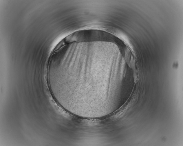 X0000089910952200707201753