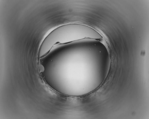 X0000089910956200707201753
