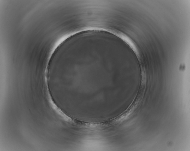 X0000089910958200707201753