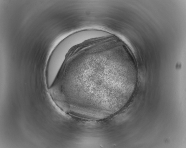 X0000089910959200707201753