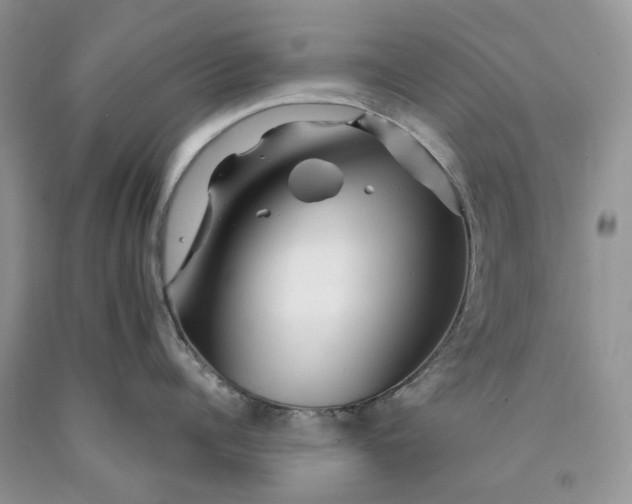 X0000089910960200707201753
