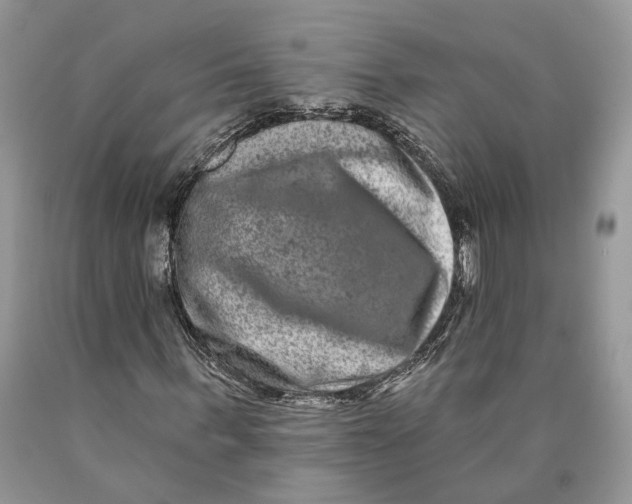 X0000089910963200707201753