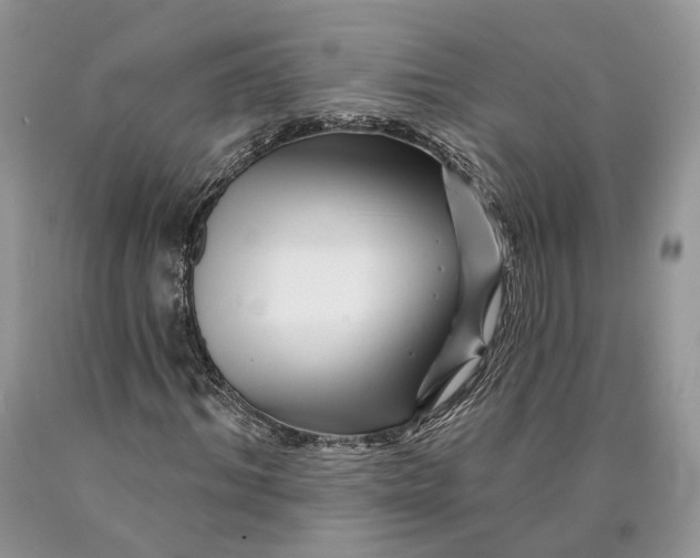 X0000089910964200707201752