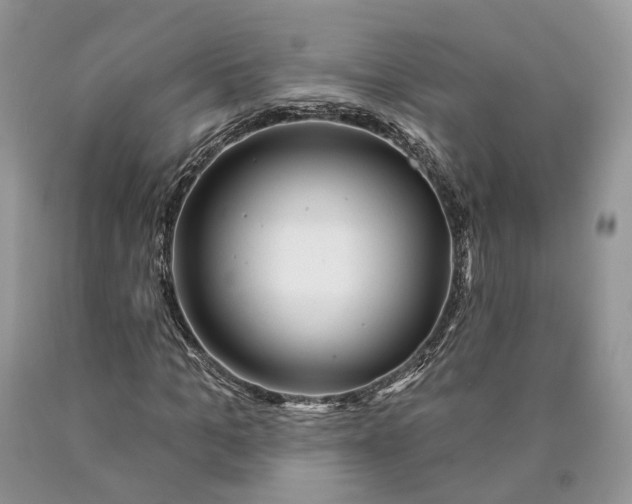 X0000089910965200707201752