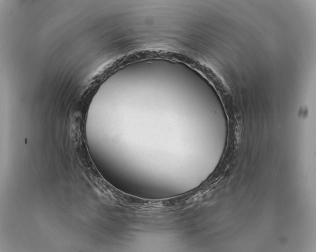 X0000089910968200707201752