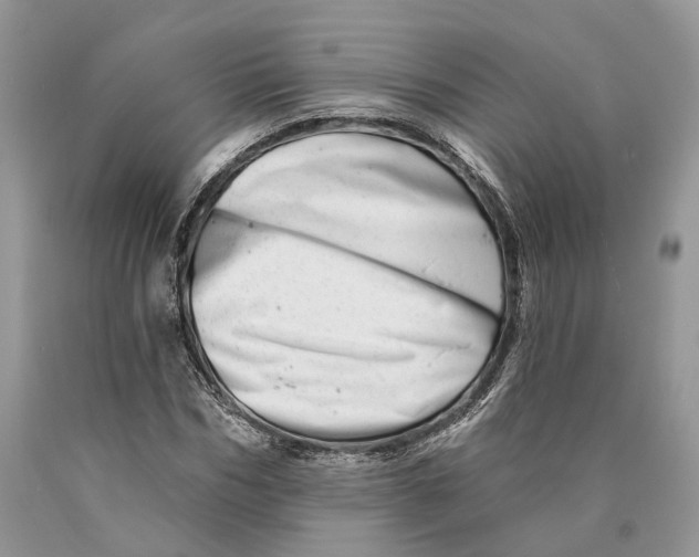 X0000089910970200707201752