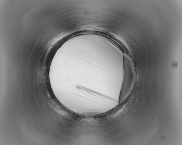 X0000089910971200707201752