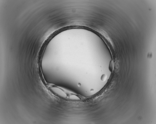 X0000089910972200707201752