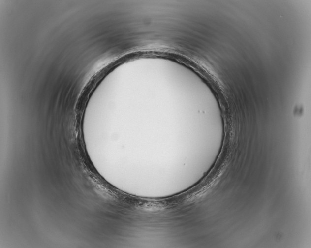 X0000089910974200707201752