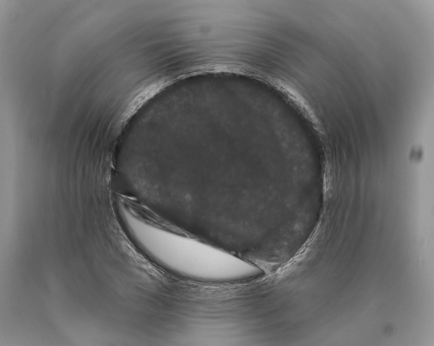 X0000089910977200707201752