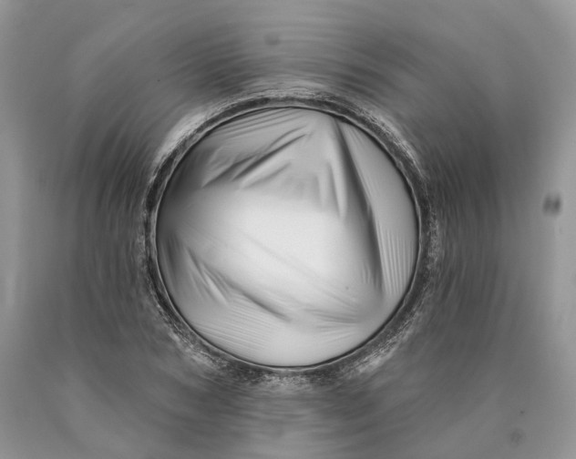 X0000089910978200707201752