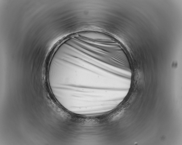 X0000089910979200707201752