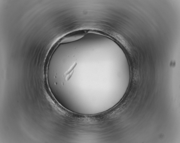 X0000089910980200707201752