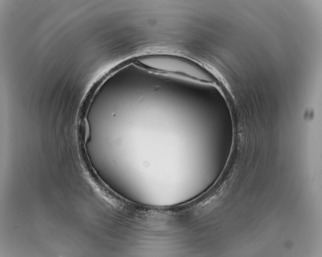 X0000089910981200707201752