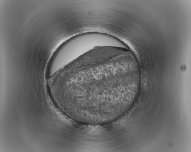 X0000089910983200707201752