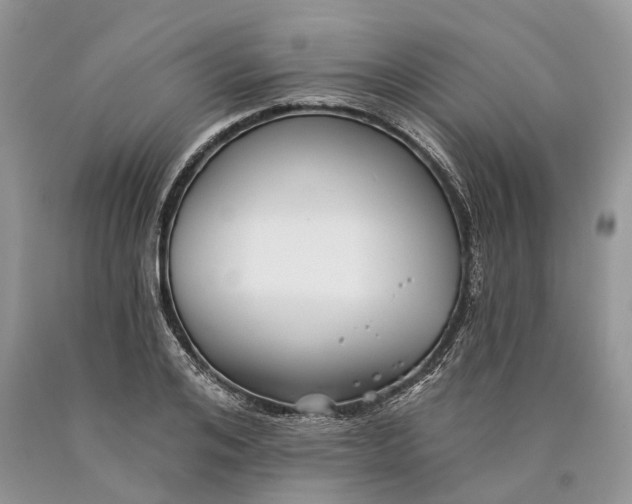 X0000089910984200707201752