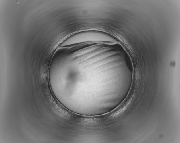 X0000089910985200707201752