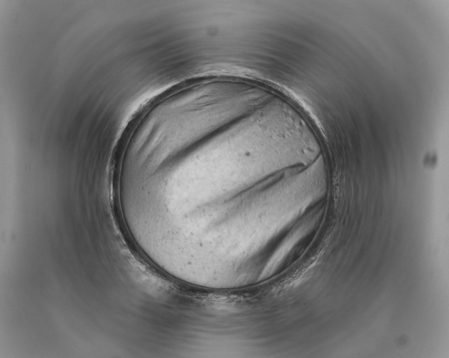 X0000089910987200707201752