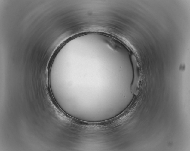 X0000089910988200707201752