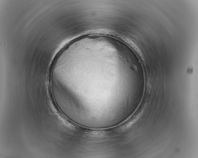 X0000089910989200707201752