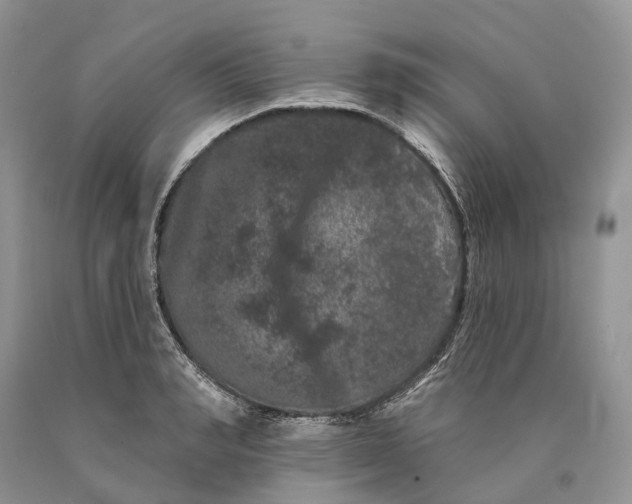 X0000089910990200707201752