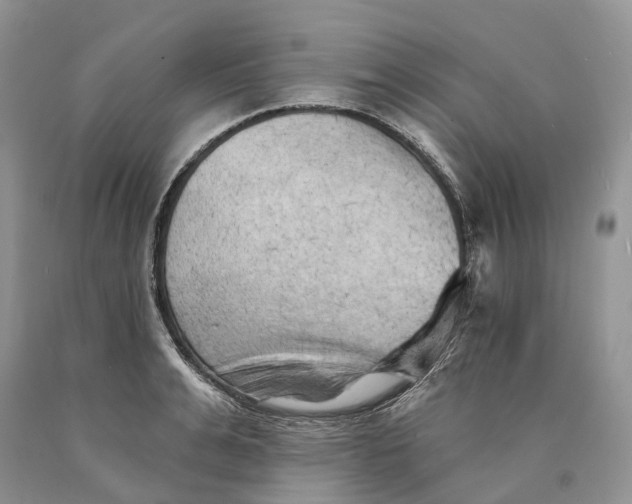 X0000089910991200707201752