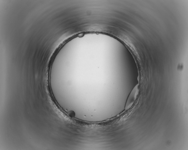 X0000089910992200707201752