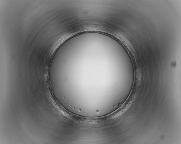 X0000089910993200707201752
